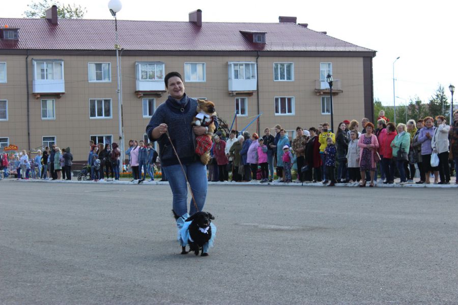 На параде собак.
